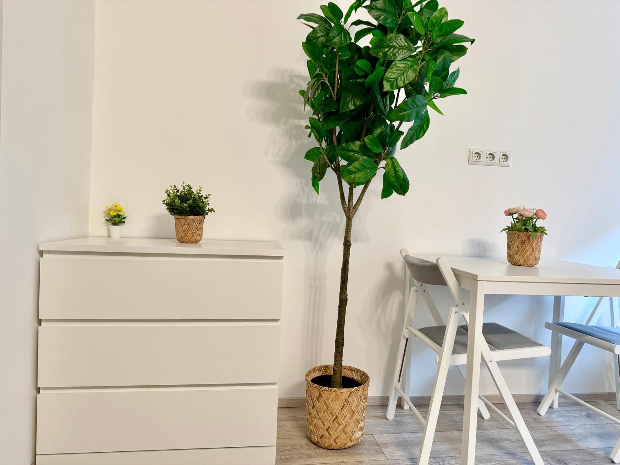 Stylish Schonbrunn Apartments With Free Parking Wenen Buitenkant foto