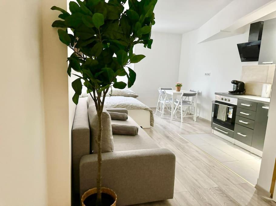 Stylish Schonbrunn Apartments With Free Parking Wenen Buitenkant foto